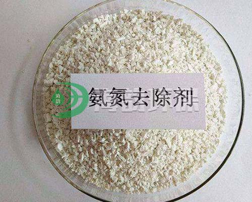 ����ȥ����